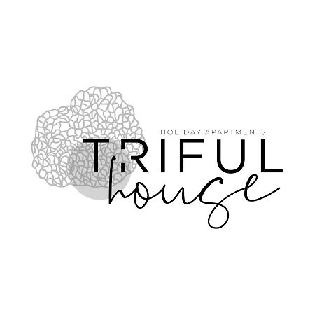 Trifulhouse Holiday Apartments Алба Екстериор снимка