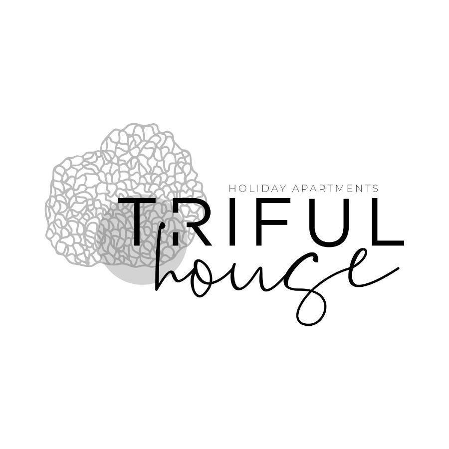 Trifulhouse Holiday Apartments Алба Екстериор снимка